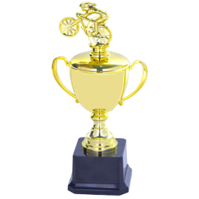 Picture for category Sports